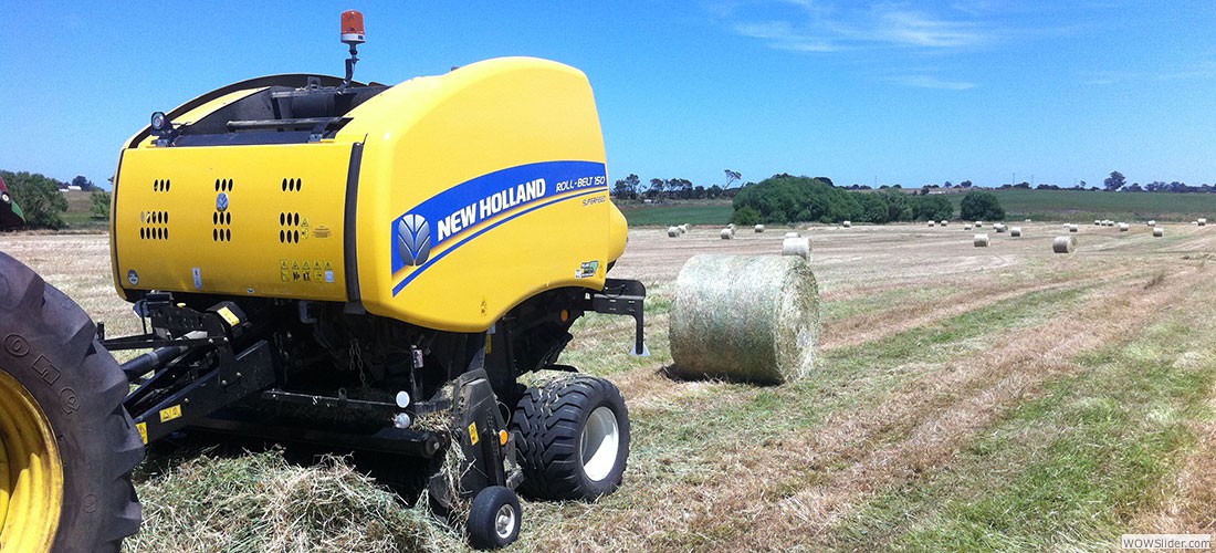 haylucernestawround_balessquare_bales16