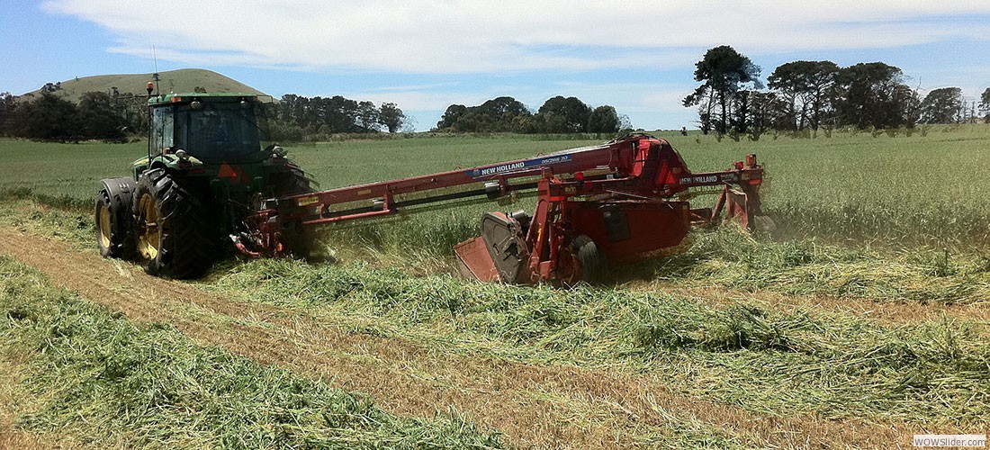 haylucernestawround_balessquare_bales17