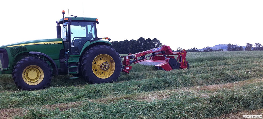 haylucernestawround_balessquare_bales19