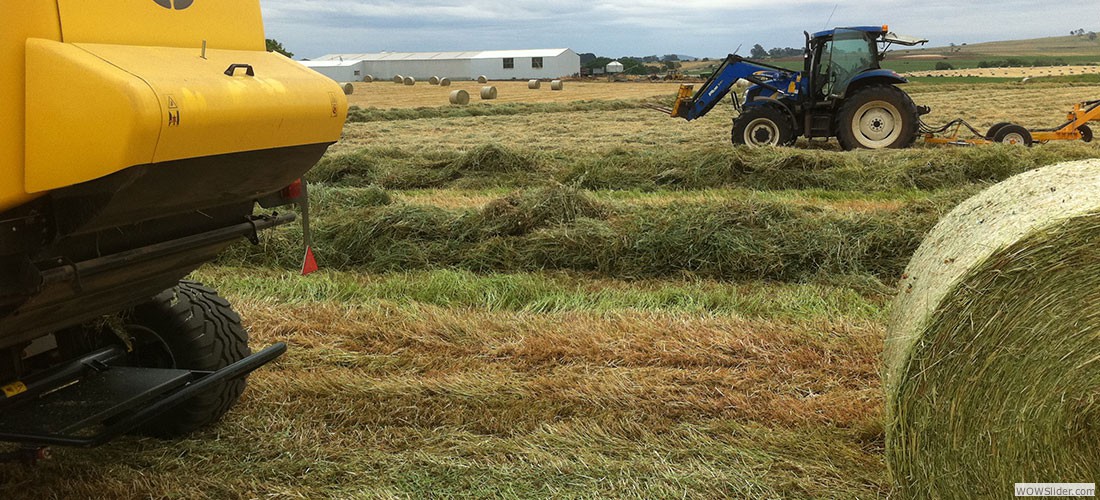 haylucernestawround_balessquare_bales21