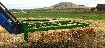 haylucernestawround_balessquare_bales14