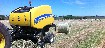 haylucernestawround_balessquare_bales16