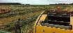 haylucernestawround_balessquare_bales22