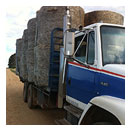 Hay Delivery