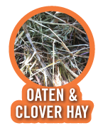 OATEN & CLOVER HAY