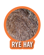 RYE HAY