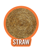 Straw