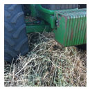 oats and clover hay